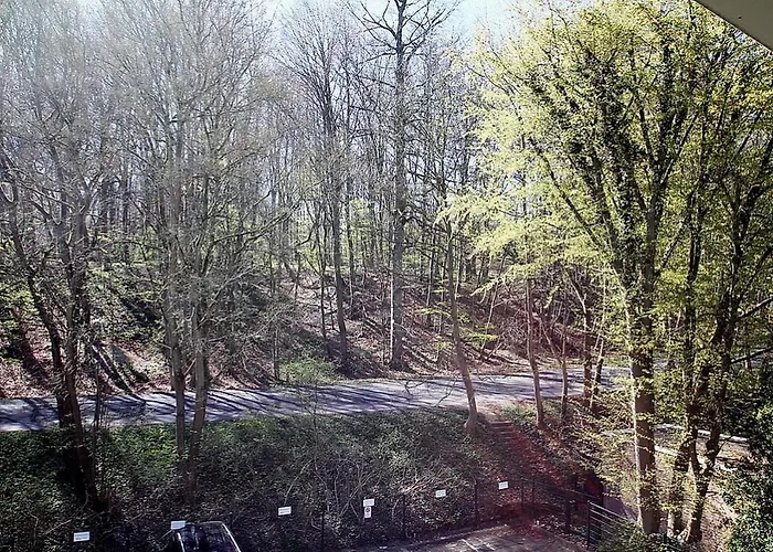 Strandresidenz Timmendorfer Strandresidenz 203 * Timmendorfer Strand